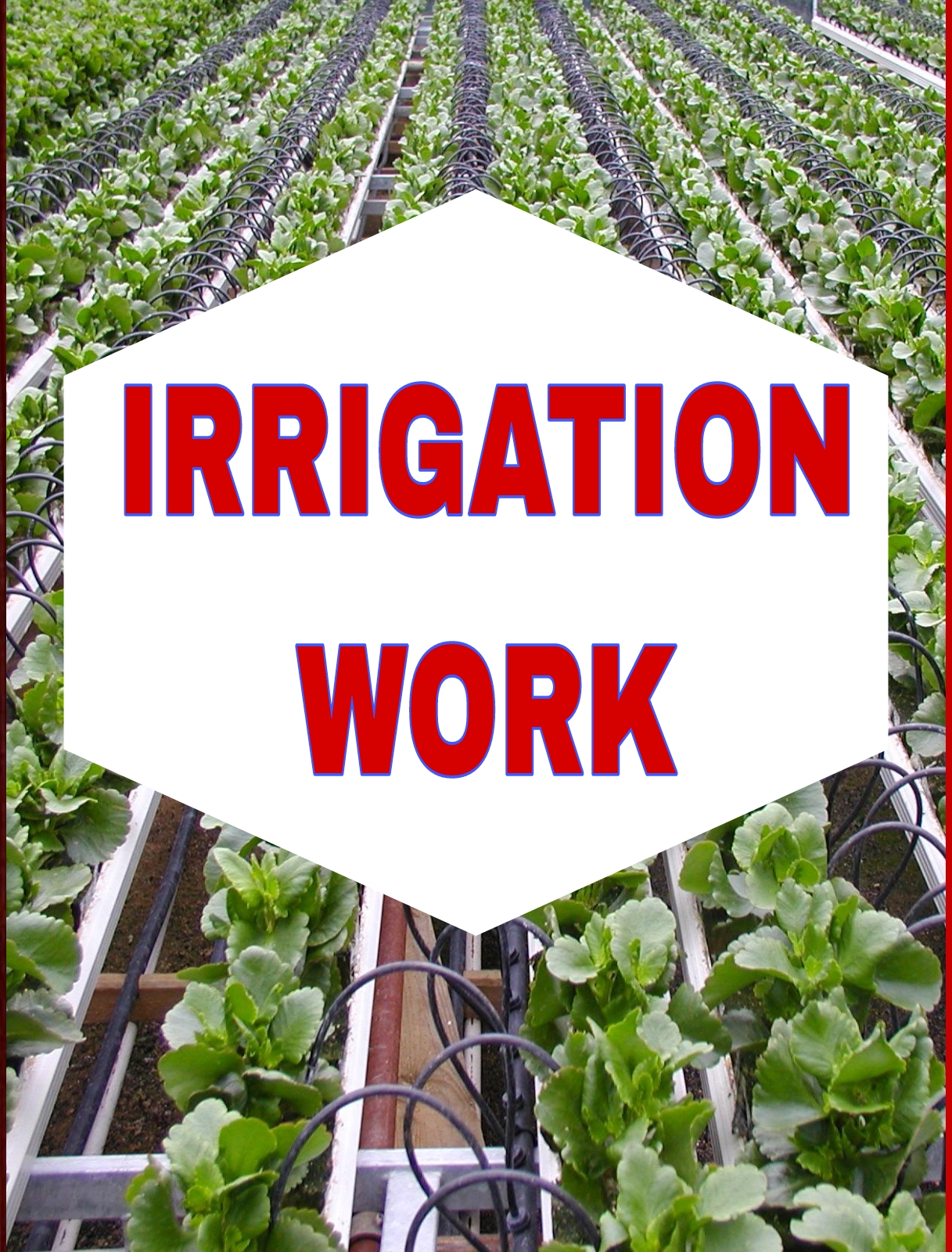 IRRIGATION WORK DRIP IRRIGATION