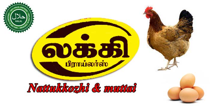 Best Lucky broilers - Karaikudi 
