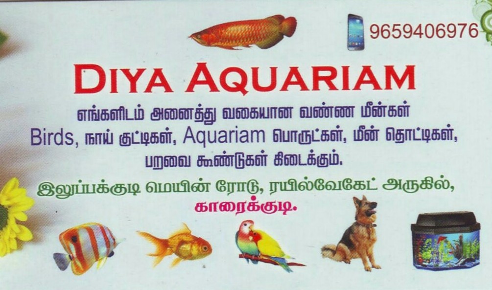 Diya Aquarium