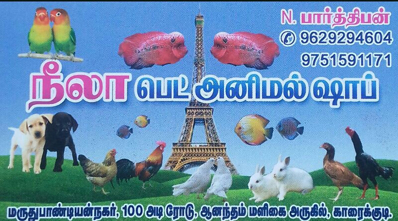 NEELA Pet Animal Shop